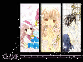 CLAMP wall