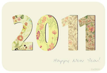 Happy New 2011 Year