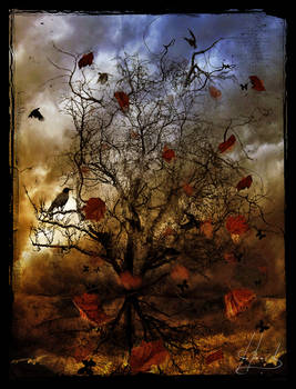 Autumn... Genesis