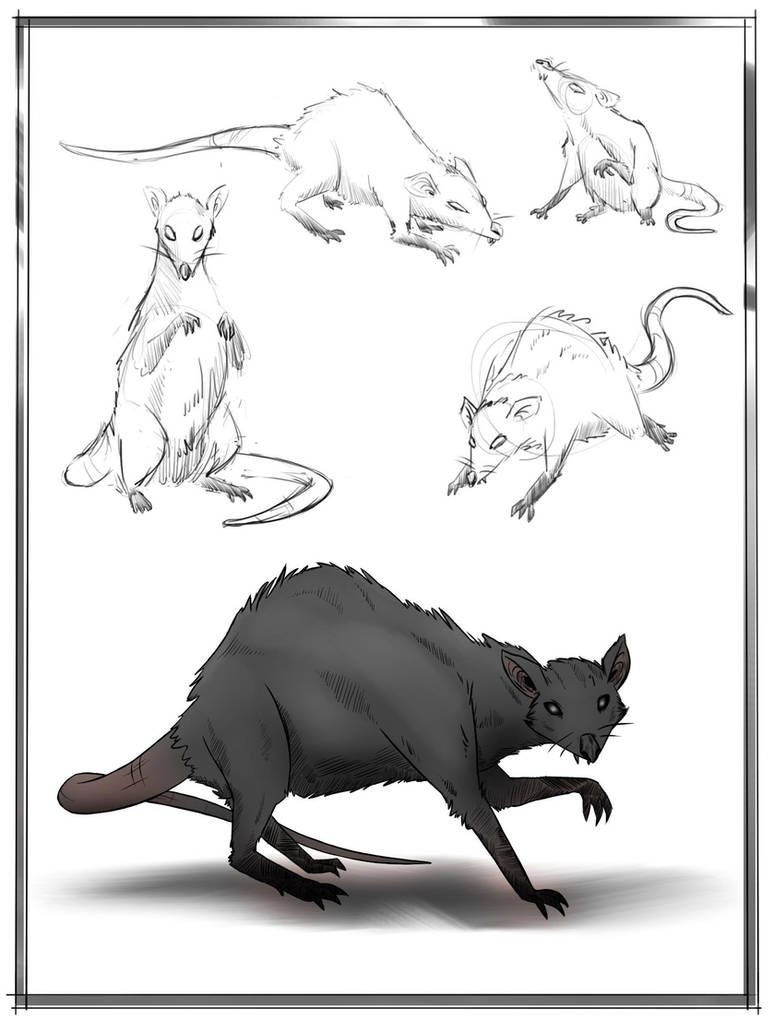 Haiku About Rats Rats by Arttukorppu on DeviantArt