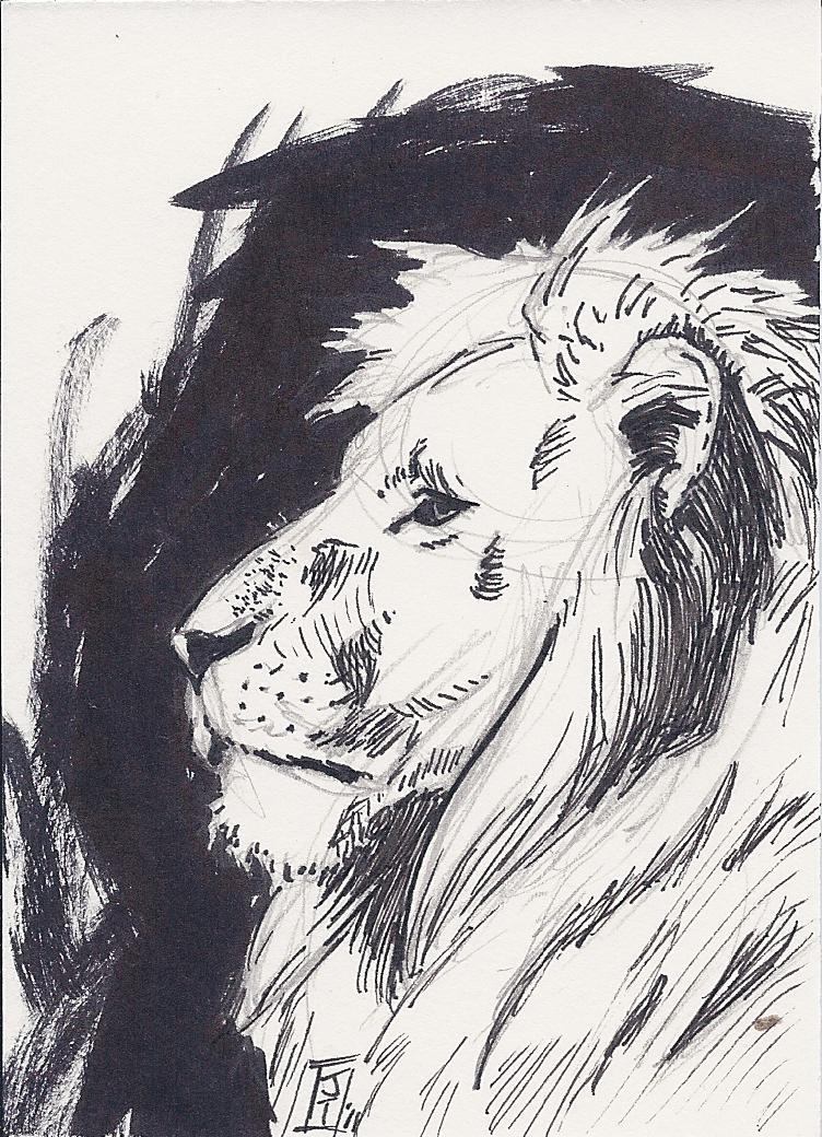 Lion