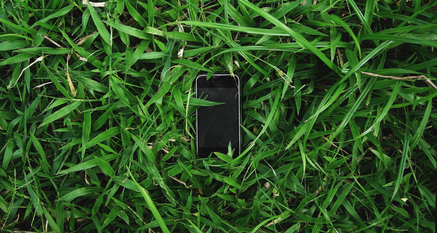 iPhone in Grass