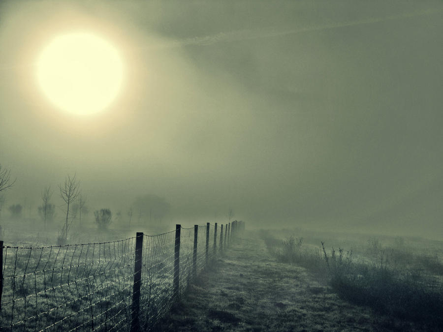 Луна туман песня. Луна туман зимой. Блики желтой Луны в тумане рисунки. Картинка ночь дорога Луна туман. Кровавая Луна в тумане картинки.