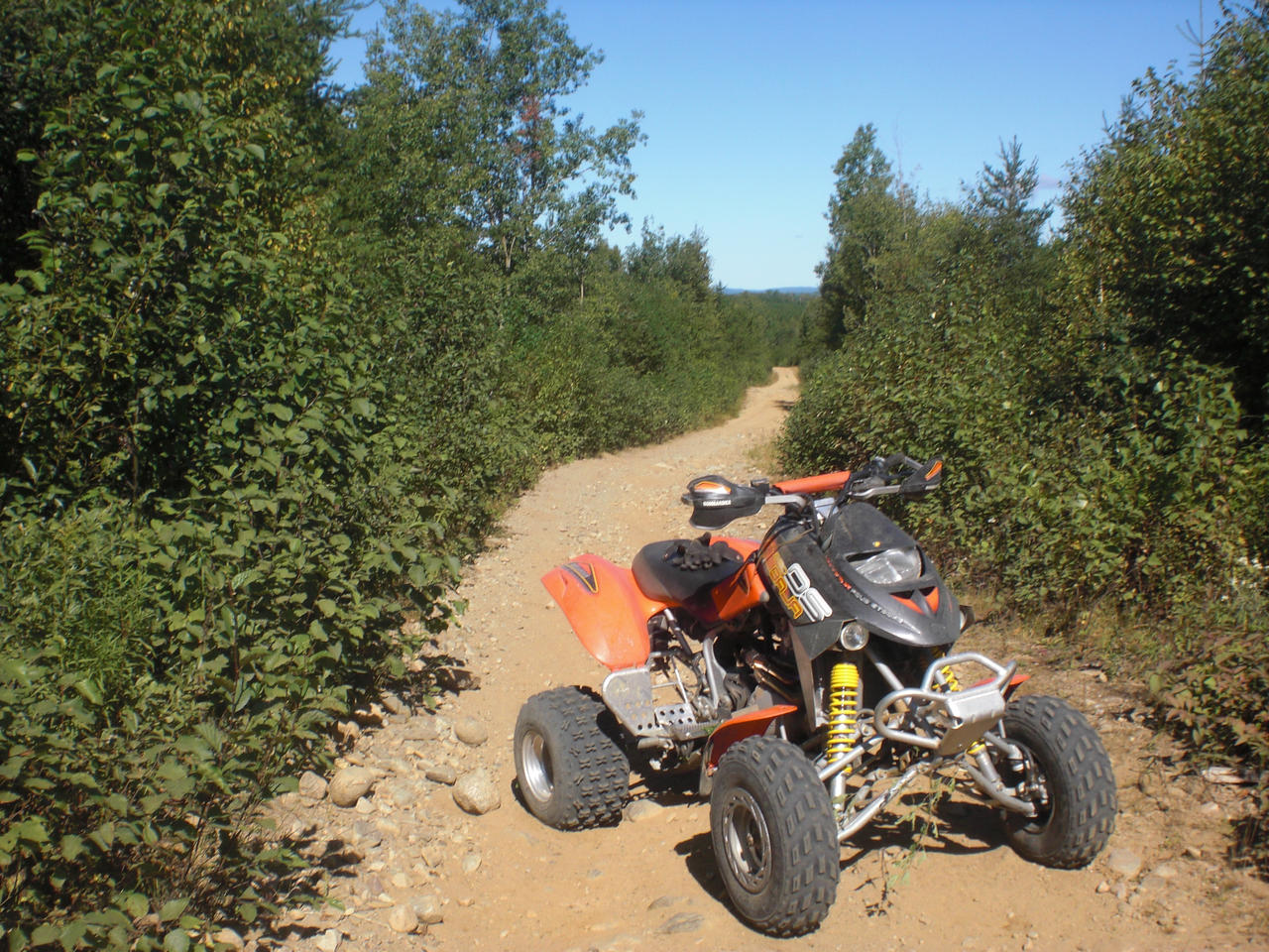 Bombardier DS 650 by ShakaF526 on DeviantArt