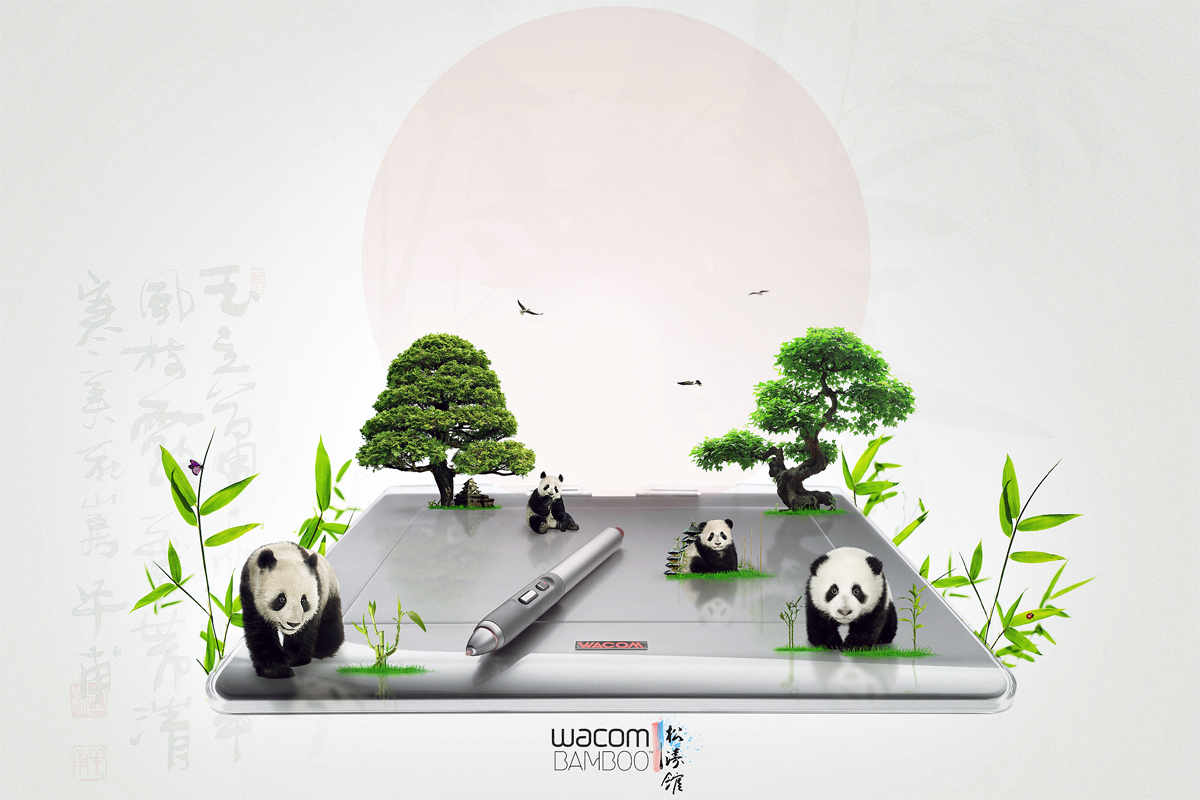 Wacom Bamboo