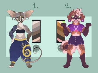 Sphynx and Pup Adopts!