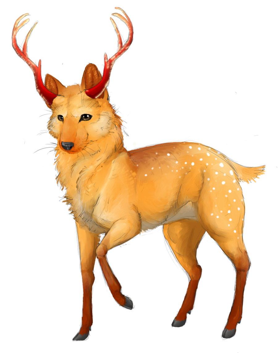 Rindeer