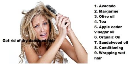 Home Remedies For Dry Damage Hair By Homeremediesforgirls On