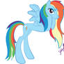 Rainbow Dash Download