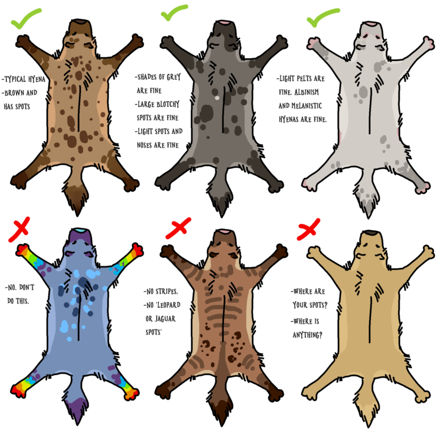 RP Pelt Guideline by Kijabi-RP on DeviantArt