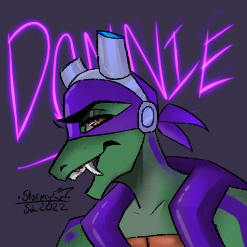 :o rise donnie by StormsoulTheChaoticx on DeviantArt