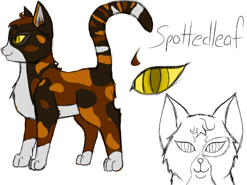 Spotledleaf Spottedleaf Character Concept by Rose-Laxzi on DeviantArt