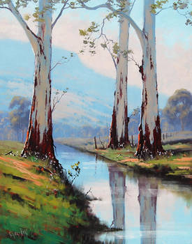 River Gums -Graham Gercken