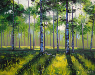 Aspen Trees by artsaus