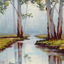 Red River Gums Australia