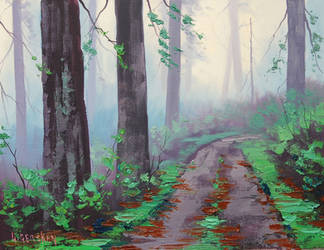 Misty Redwood Forest