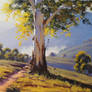 Australian Gum Tree, Bathurst