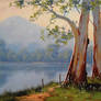 Lake Gum Trees