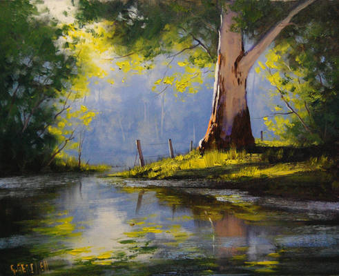 River Eucalyptus Tree