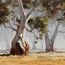 Eucalyptus tree Paintings