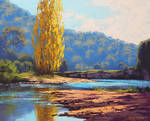 Golden Popular Tumut River by artsaus