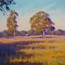 Australian Summer Landscape