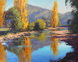 Autumn Reflections Tumut