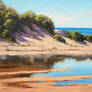 Coastal Sand Dunes Painting