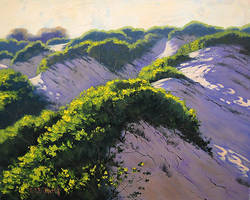 Light Across the Dunes