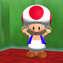Toad in Super Mario 64 Recreation