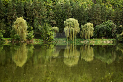 mirror lake