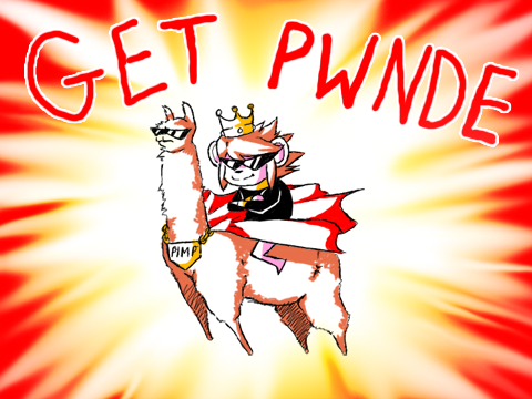 yall got pwnde by llama king