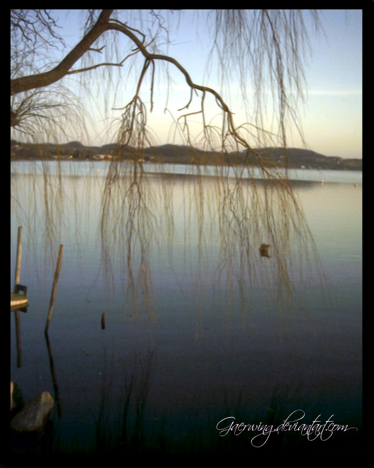 Lake and Tree