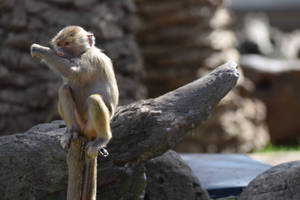 Pfffpfffpfffpfffpfffpfff