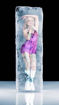 Sabrina Carpenter Frozen in Ice Block 