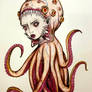 Fairy octopus