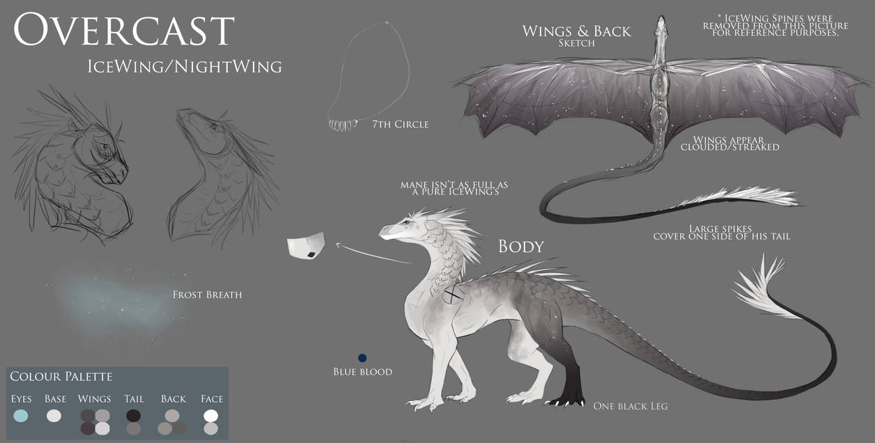 Overcast Reference Overcast Reference Sheet by Kiiju on DeviantArt