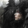 The Crow
