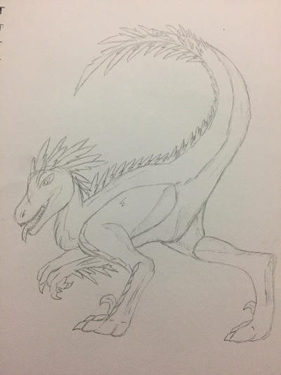 Skinny Raptor Drawing Raptor sketch by Pinkiexneomorph277 on DeviantArt