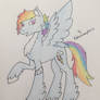 Rainbow Dash