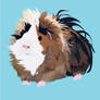 Guinea Pig II