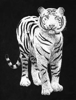 White Tiger