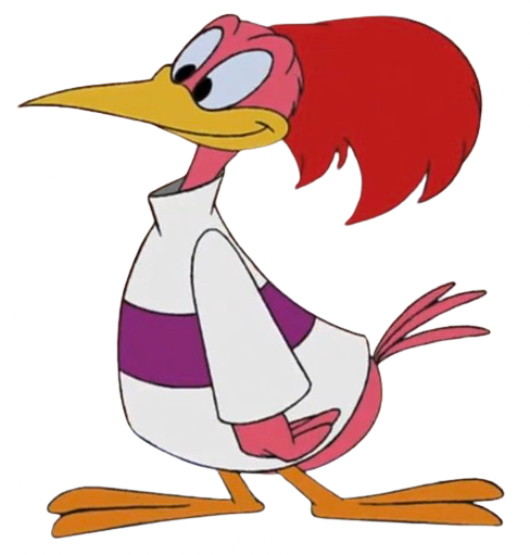 The Aracuan Bird by CEB1031 on DeviantArt