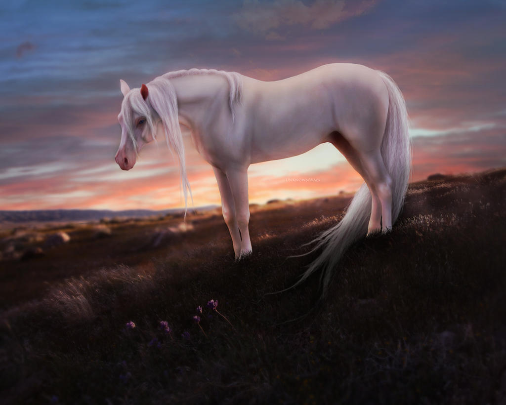 Lost Cause by ehmdesigns