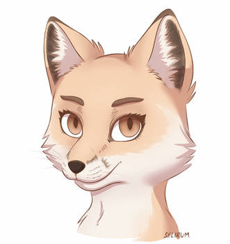 Comm: Fox by Selirum