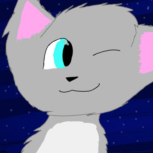 Random Kitty by Silvestry32 on DeviantArt