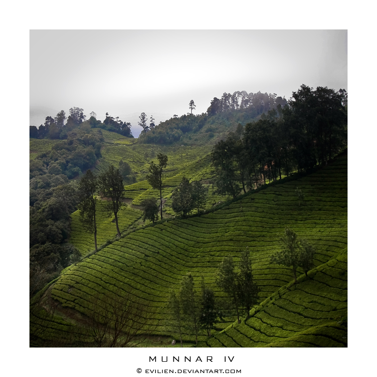 Munnar IV