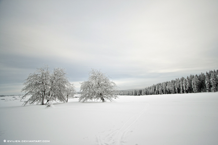 Hautes Fagnes