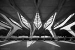 Saint-Exupery IV by Evilien