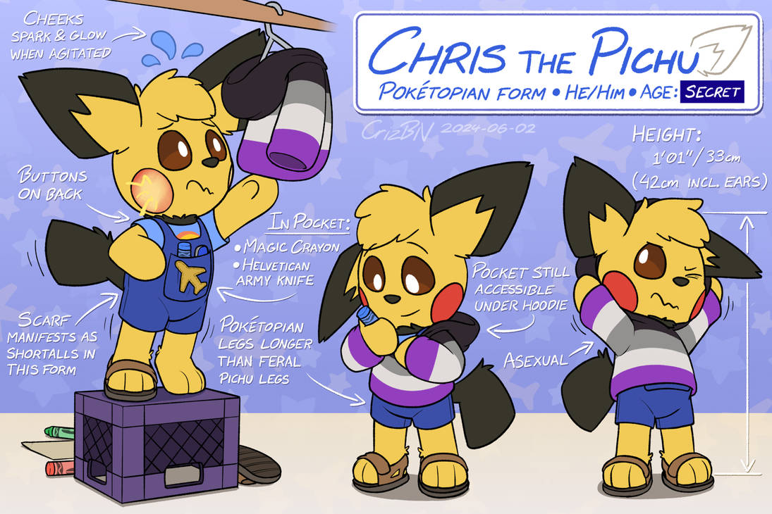 Pokemon Chris Rear View Chris the Poketopian Pichu - Ref Sheet by CrizBN on DeviantArt